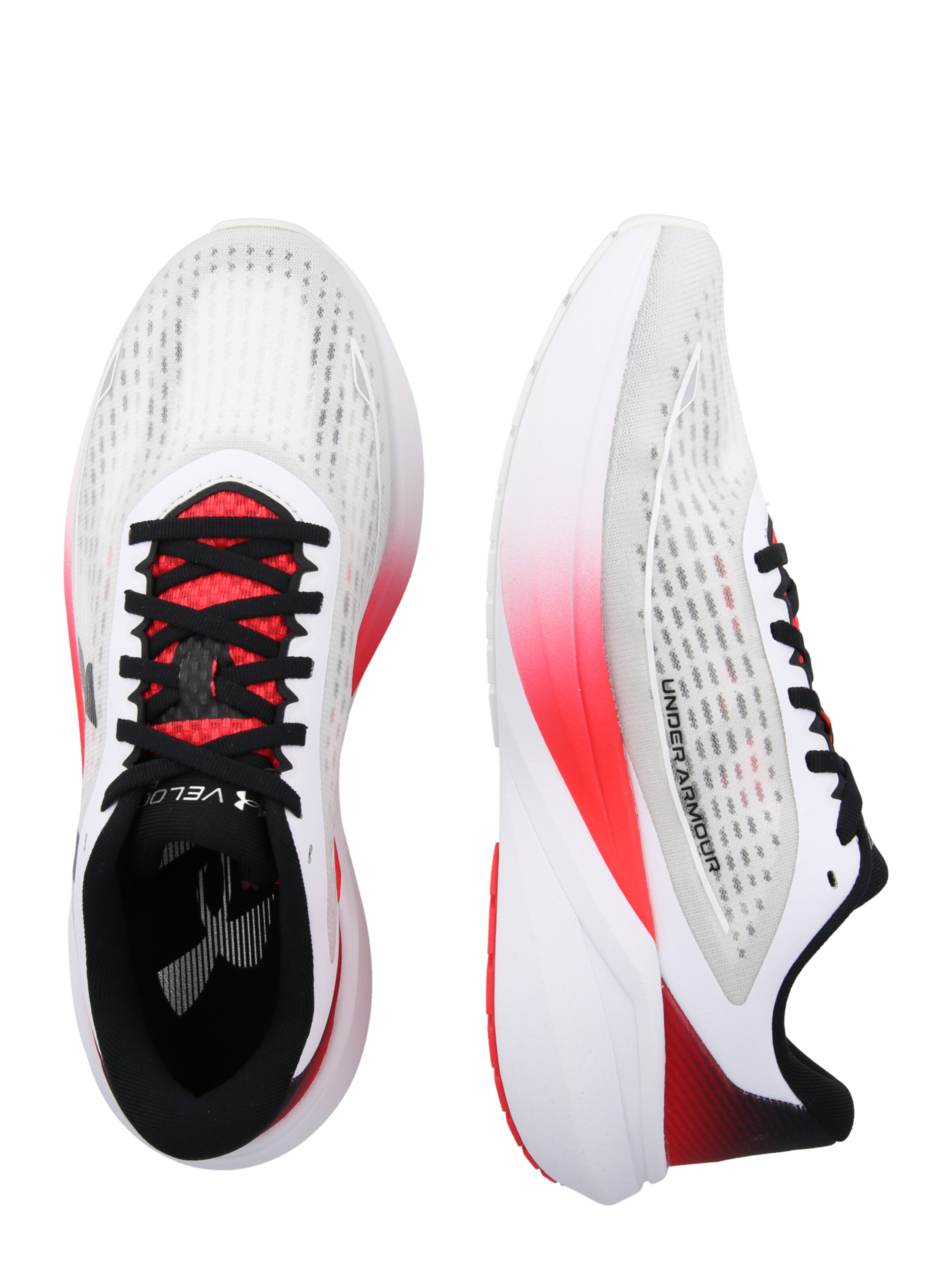 UNDER ARMOUR Loopschoen 'Velociti Pace' in Wit