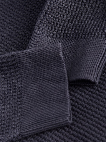 Jack & Jones Plus Trui 'JPRBLUSTANLEY' in Blauw