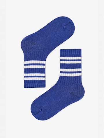 Penti Zokni 'PENTI Jungen Sailor gestreifte 2er-Pack Socken' - kék