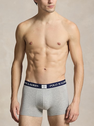 Polo Ralph Lauren Шорты Боксеры в Синий: спереди