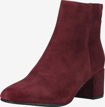 Högl Stiefelette in Rot: Vorderseite