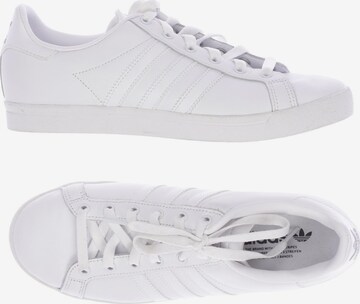 ADIDAS ORIGINALS Sneakers & Trainers in 38,5 in White: front