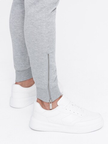 Ombre Tapered Trousers 'PASK-22FW-004' in Grey