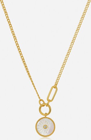 ANIA HAIE Necklace in Gold: front