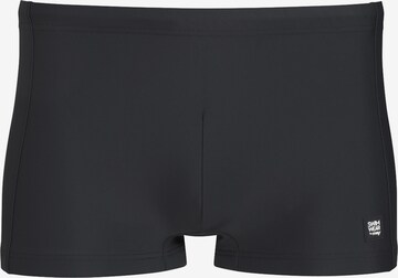 Mey Swim Trunks in Black: front