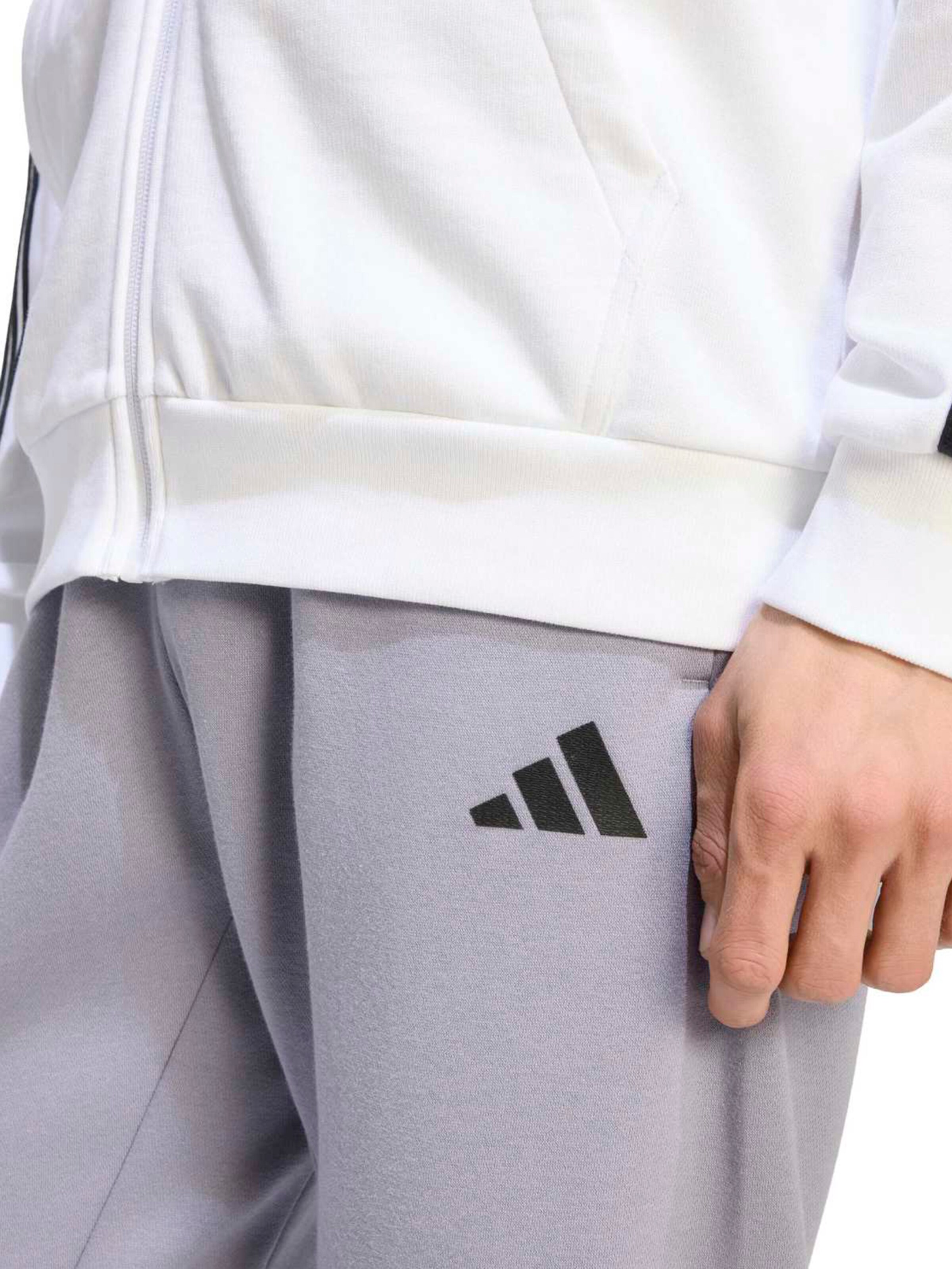 ADIDAS SPORTSWEARTapered Sportske hlače - ljubičasta boja