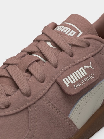 Sneaker 'Palermo' de la PUMA pe maro