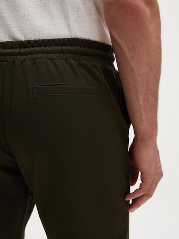 D’S Damat Regular Broek in Groen