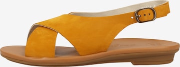 Paul Green Sandale in Gelb