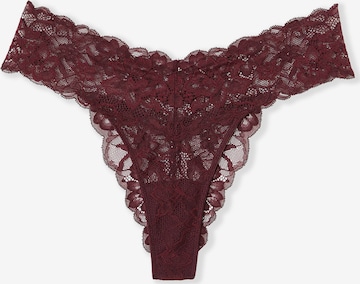 ETAM Slip 'Sweet' in Lila: Vorderseite