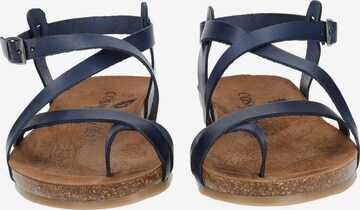 COSMOS COMFORT T-Bar Sandals in Blue