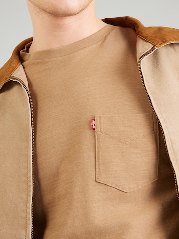 LEVI'S ® Koszulka w kolorze brązowy
