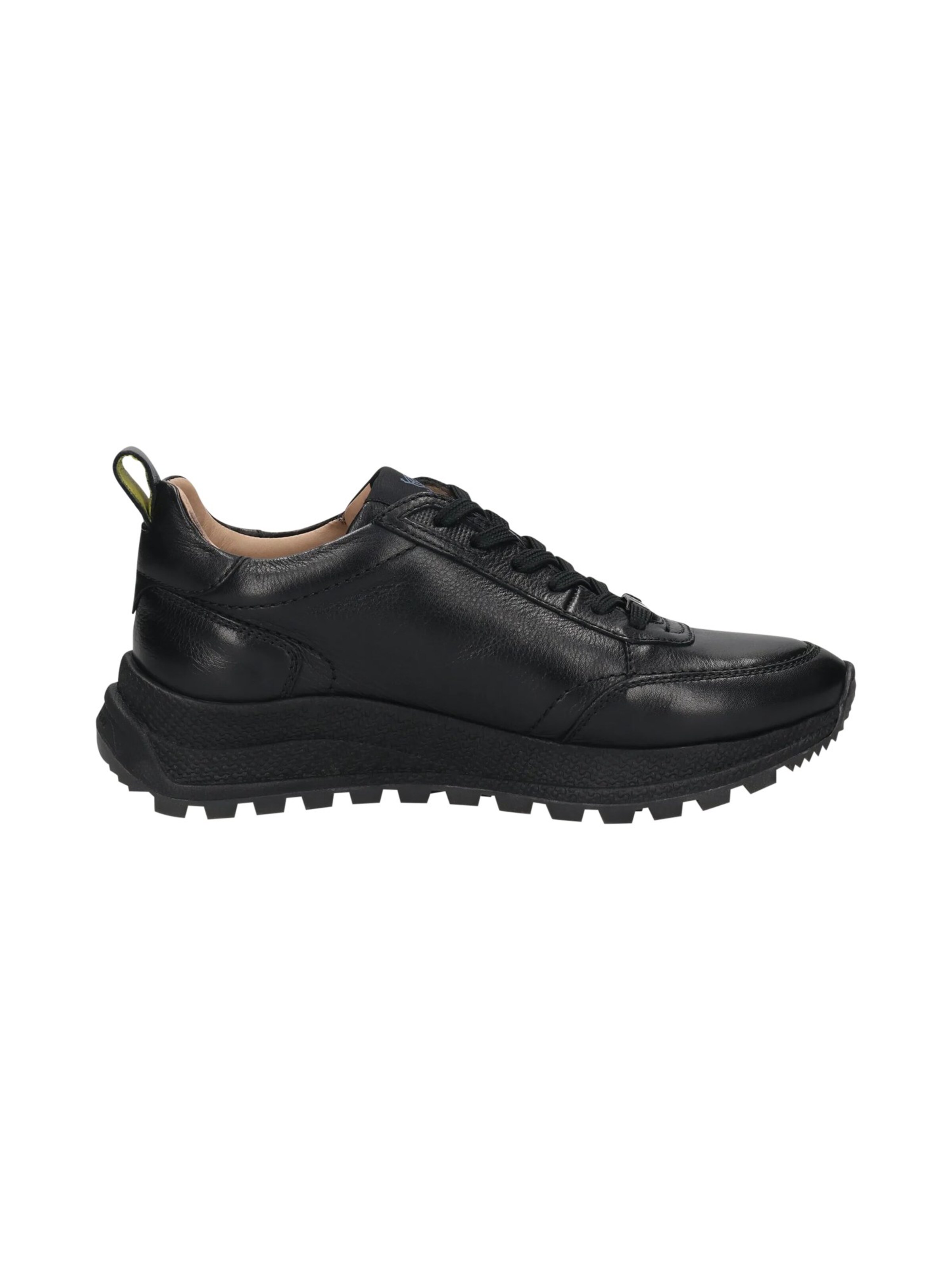 SALAMANDER Platform trainers in Black