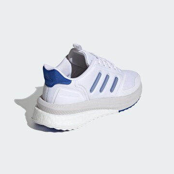 ADIDAS SPORTSWEAR Sneaker low in Weiß