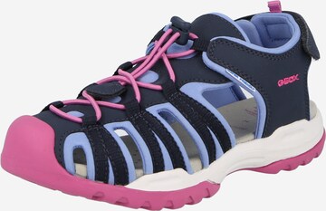 GEOX Sandals 'Borealis' in Blue: front