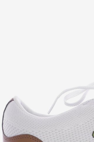 LACOSTE Sneakers & Trainers in 40,5 in White