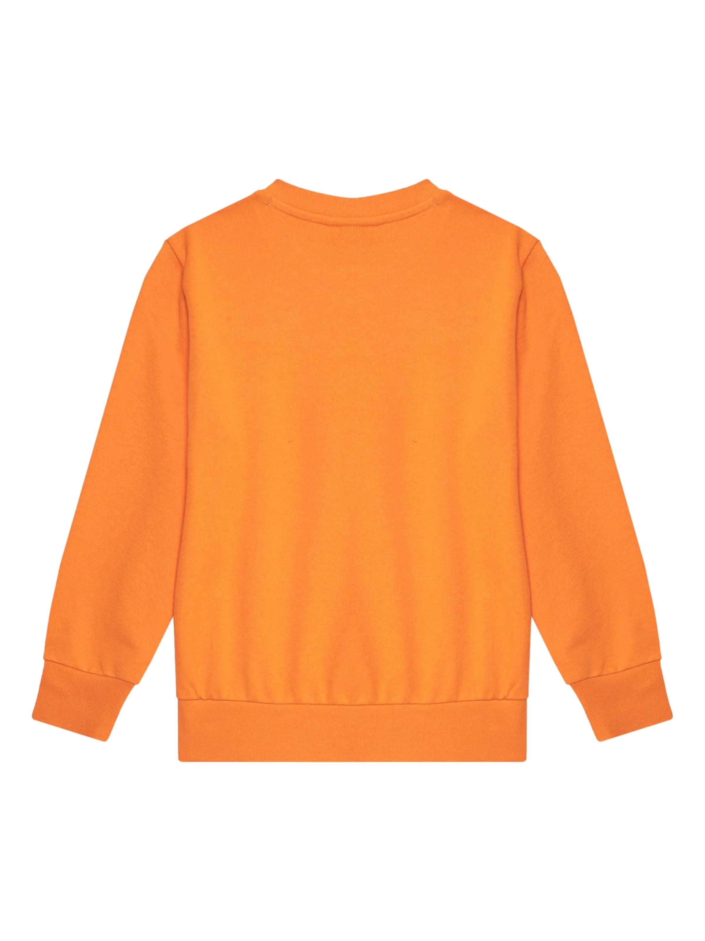 Champion Authentic Athletic Apparel Sweatshirt in Oranje
