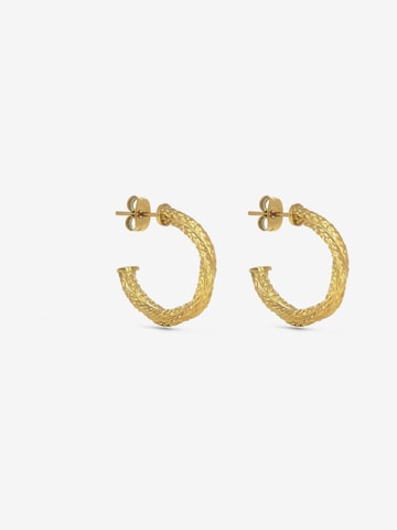 Hey Harper Earrings 'Madeleine' in Gold