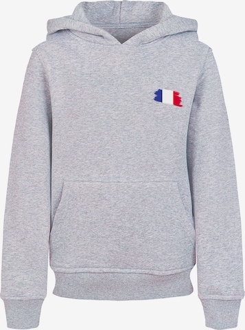 Sweat-shirt F4NT4STIC en gris : devant