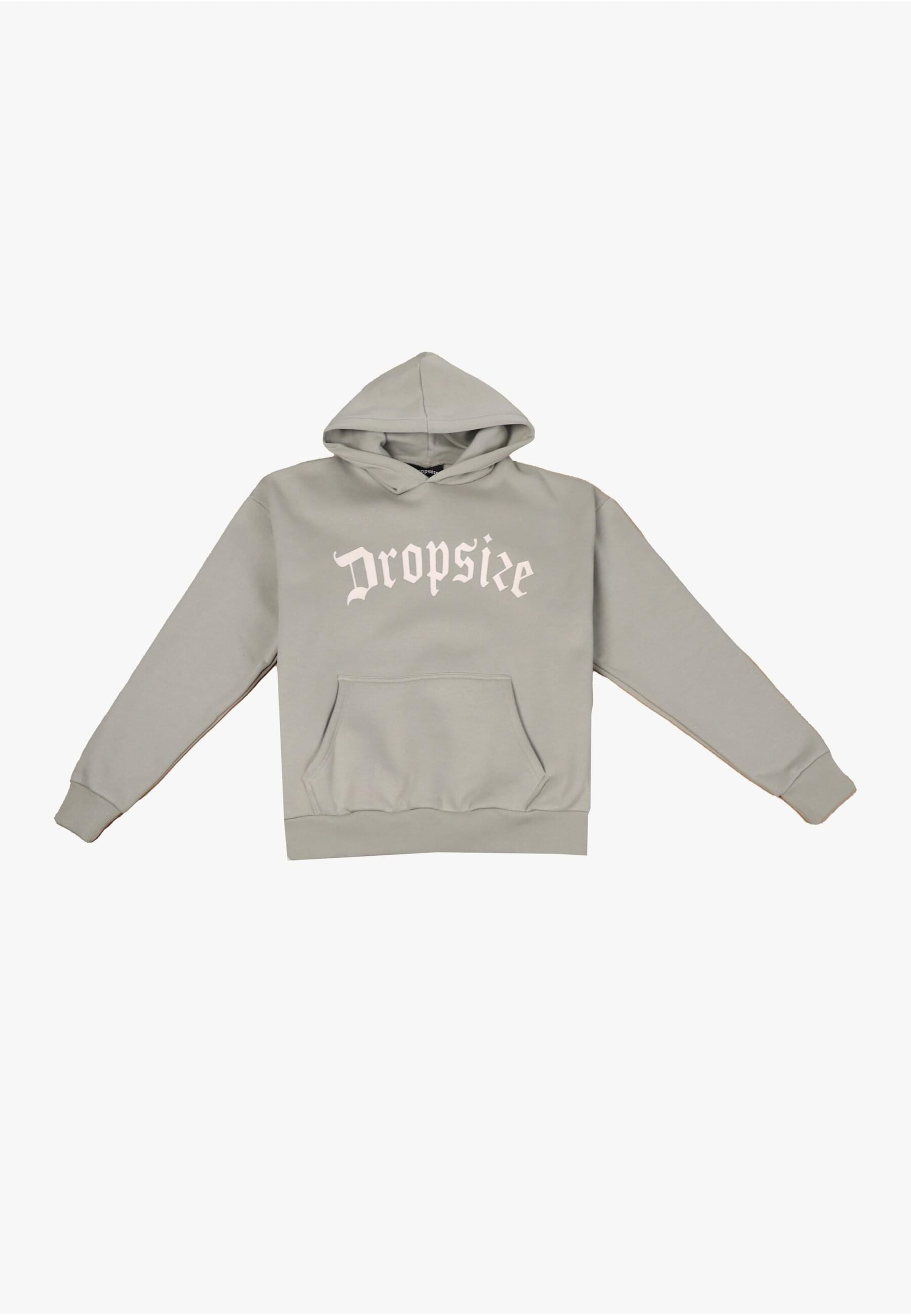 Dropsize Sweatshirt in Grijs: voorkant