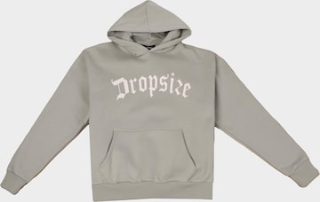 Dropsize Sweatshirt in Grey: front
