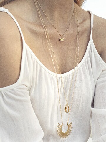 timi of sweden Ketting 'Dragonfly' in Goud