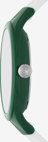 PUMA Uhr in Grün