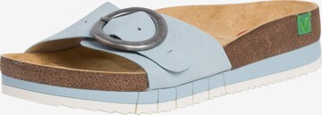 JANANatikače s potpeticom - plava boja: prednji dio