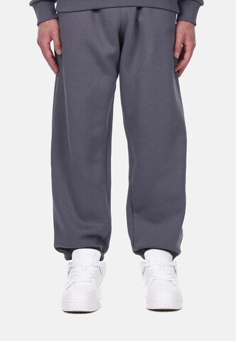 Dropsize Loose fit Pants in Grey