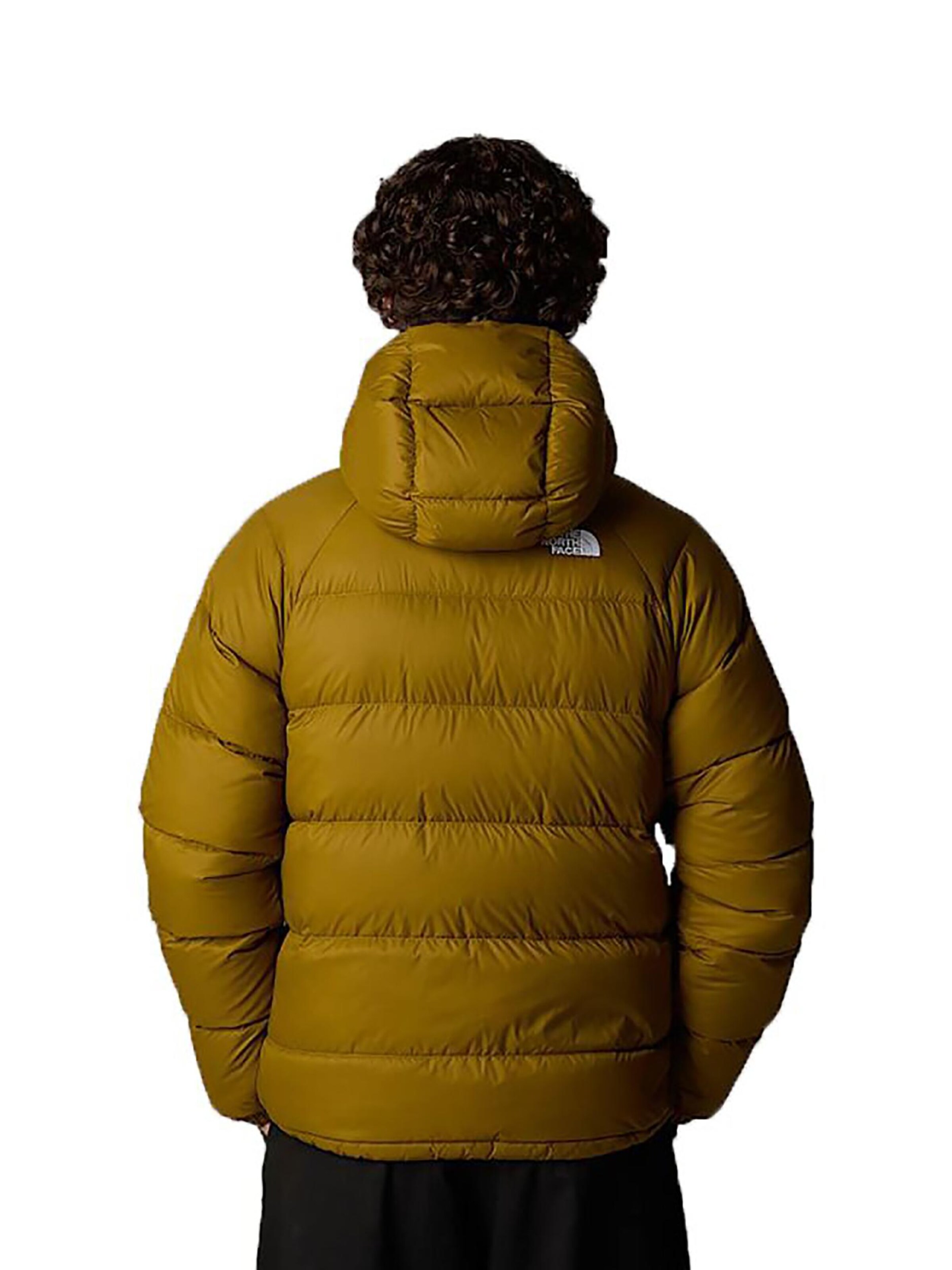 THE NORTH FACE Winter Jacket 'Hydrenalite Down' in Green