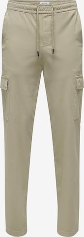 Only & Sons - Pantalón 'ONSSinus' en gris: frente