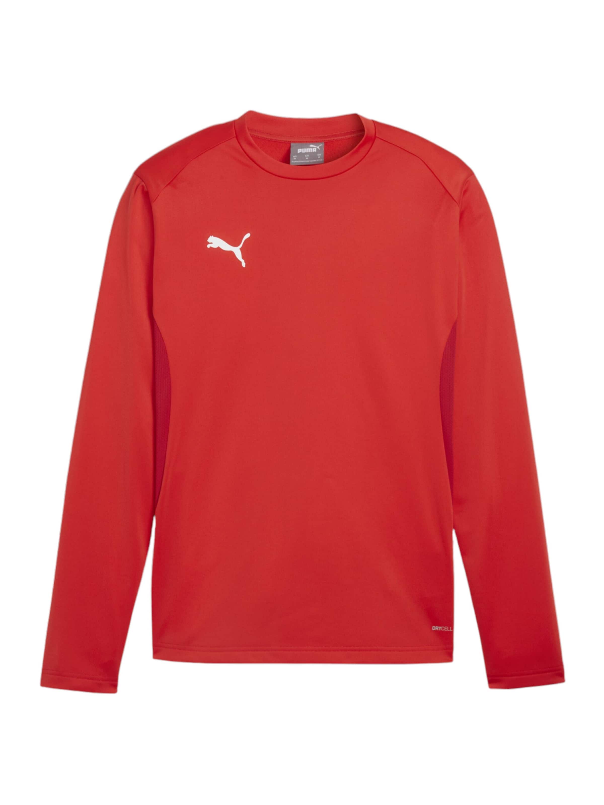 PUMA Sportsweatshirt 'teamGOAL' in Rot: Vorderseite
