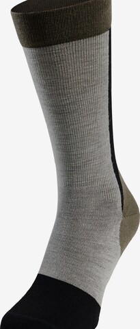 ODLO Sportsocken 'PERFORMANCE' in Grau: Vorderseite