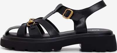 CESARE GASPARI Sandale in gold / schwarz, Produktansicht