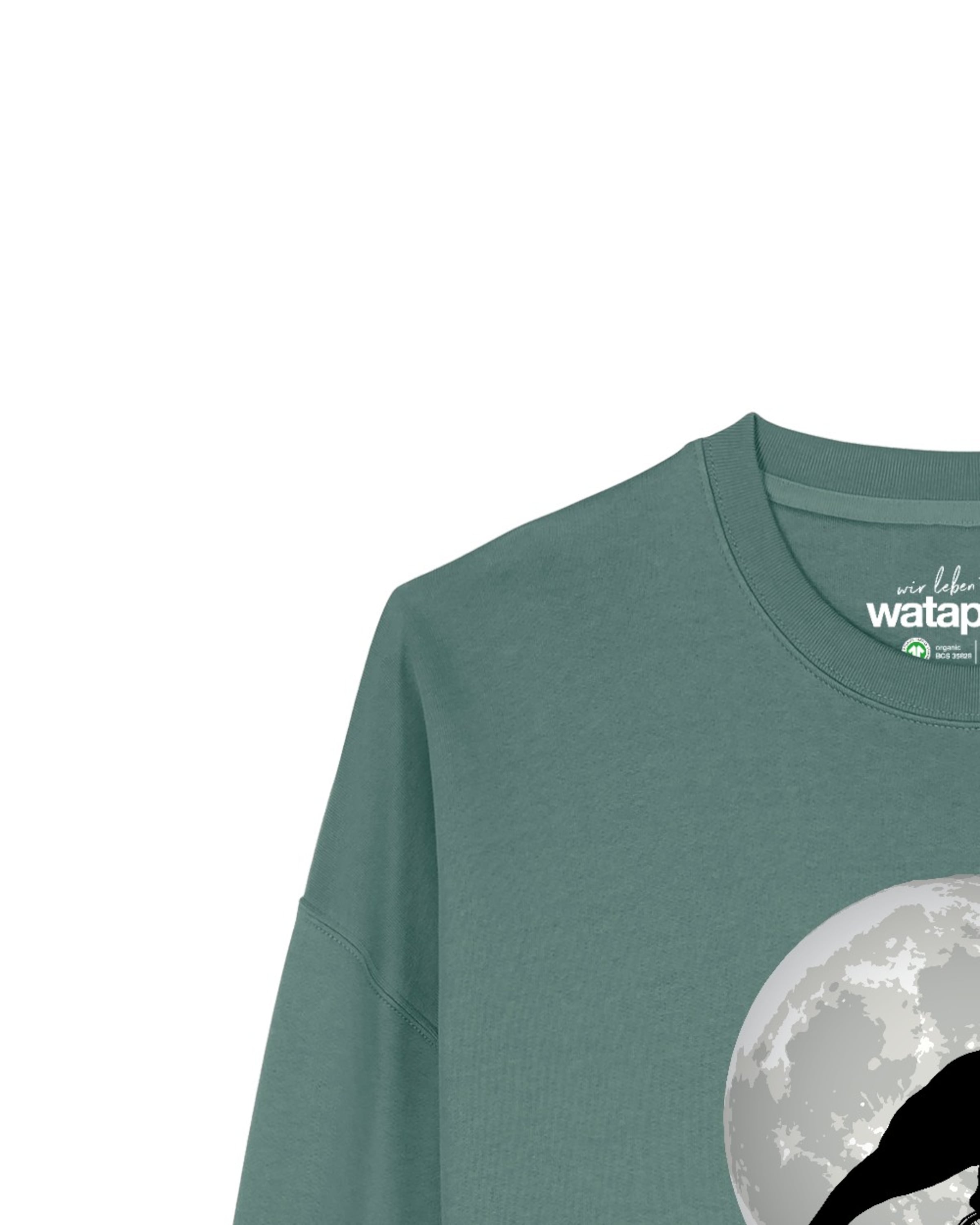 Watapparel Sweatshirt 'Flying TRex' in Green