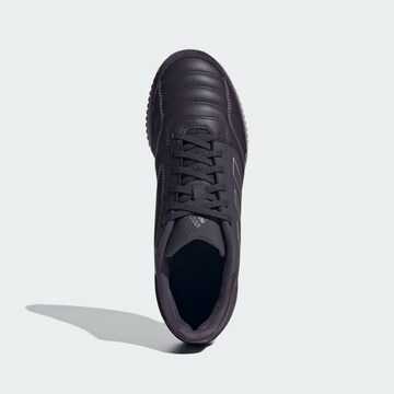 Chaussure de foot ' Top Sala Competition IN ' ADIDAS PERFORMANCE en violet