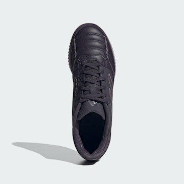 ADIDAS PERFORMANCE Soccer Cleats ' Top Sala Competition IN ' in Purple