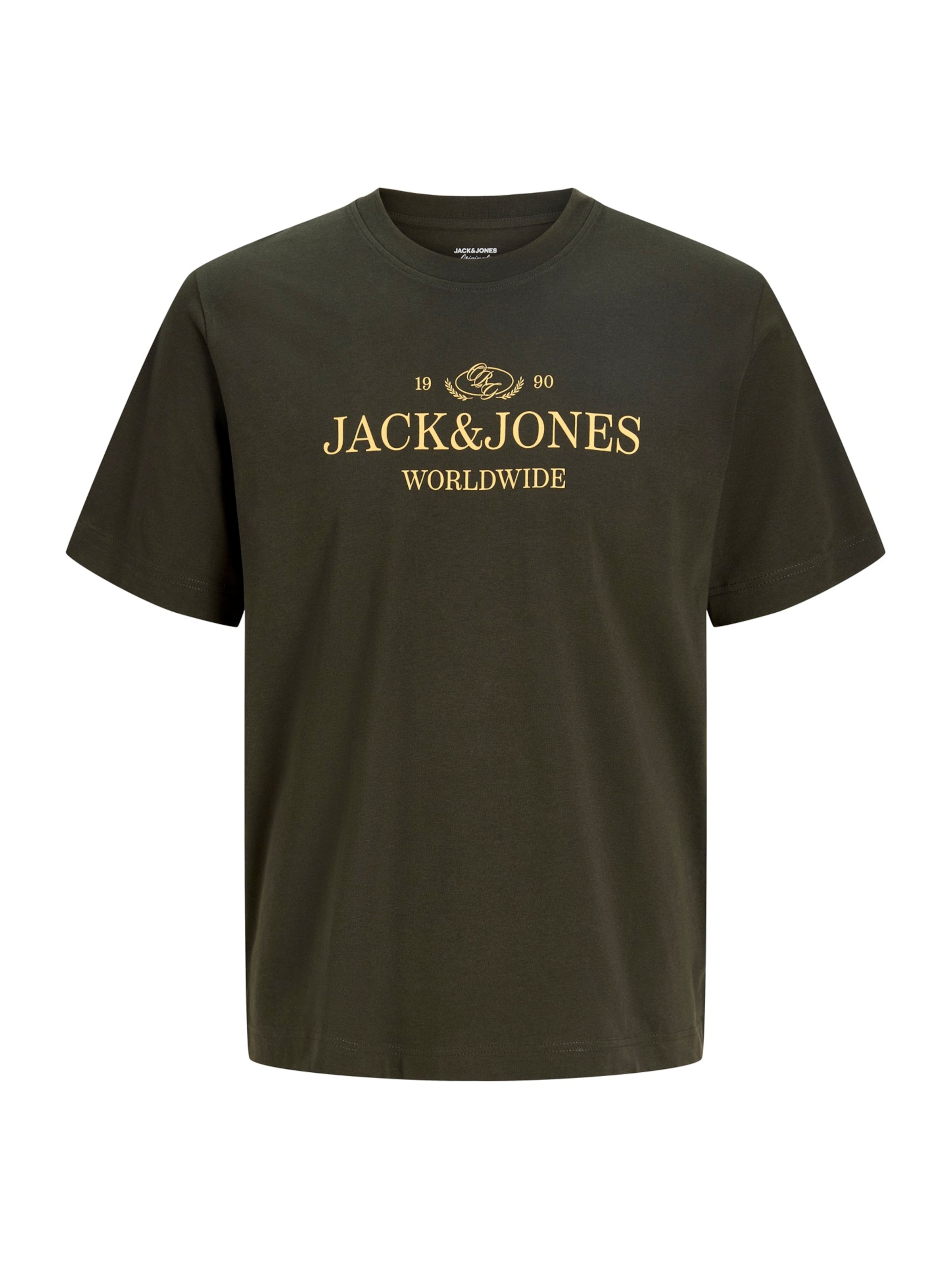 Jack & Jones Junior - Camiseta 'JORFREDERIKSBERG' en marrón: frente
