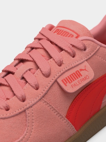 PUMA - Sapatilhas baixas 'Palermo' em rosa
