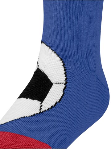 FALKE Socks 'Active Soccer' in Blue