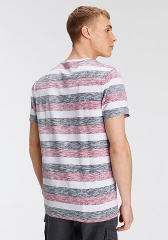 AJC Shirt in Mischfarben