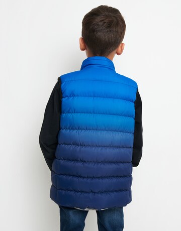 Gilet 'Felix' di Threadboys in blu