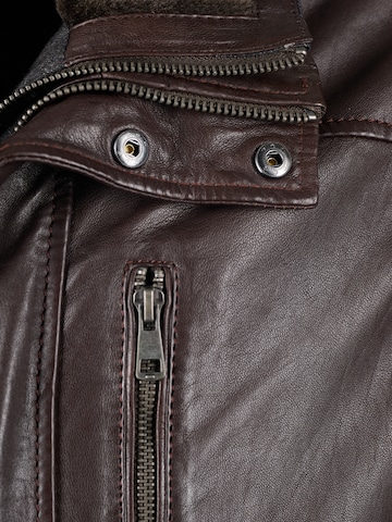 JCC Tussenjas in Bruin