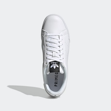 Baskets basses 'Court Tourino' ADIDAS ORIGINALS en blanc