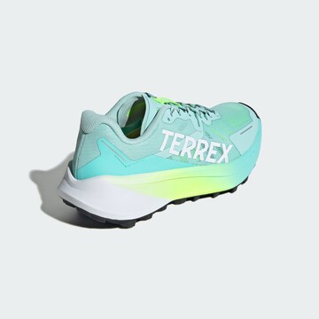 ADIDAS TERREX Outdoorschuh 'Agravic 3' in Blau