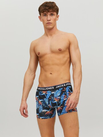 JACK & JONES - Calzoncillo boxer 'Azores' en Mezcla de colores