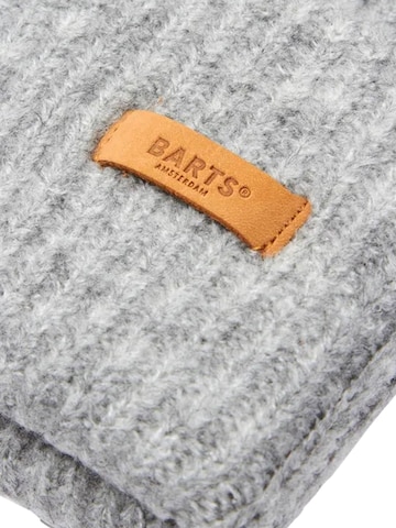 Barts Beanie 'Witzia' in Grey