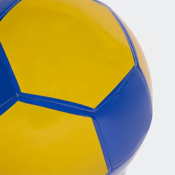 ADIDAS PERFORMANCE Bal in Blauw