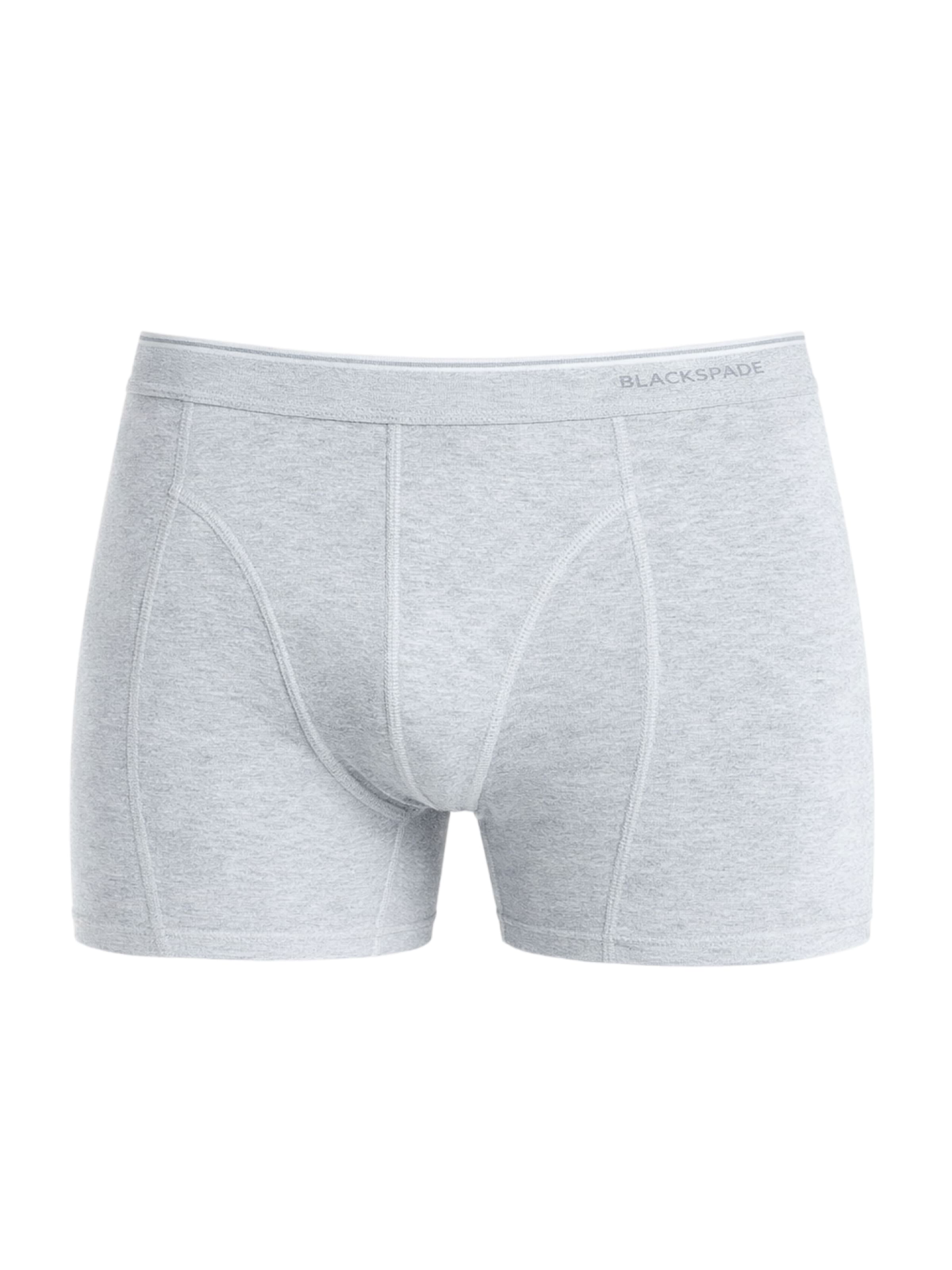 Blackspade Boxershorts in Grau: Vorderseite