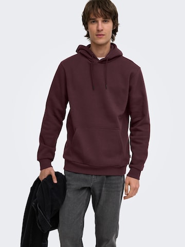 Only & Sons Regular Fit Sweatshirt 'ONSCeres' in Lila: Vorderseite